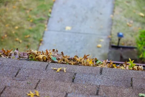 Why Gutters Still Matter in a Place Where It Barely Rains
